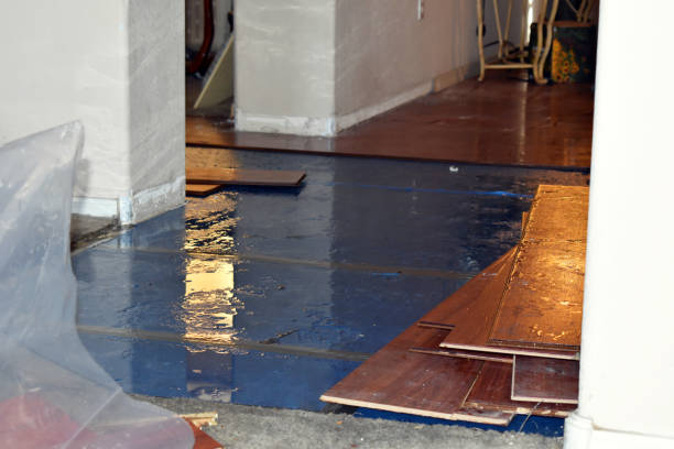 Professional Water Damage Restoration technician working in Forest, OH
